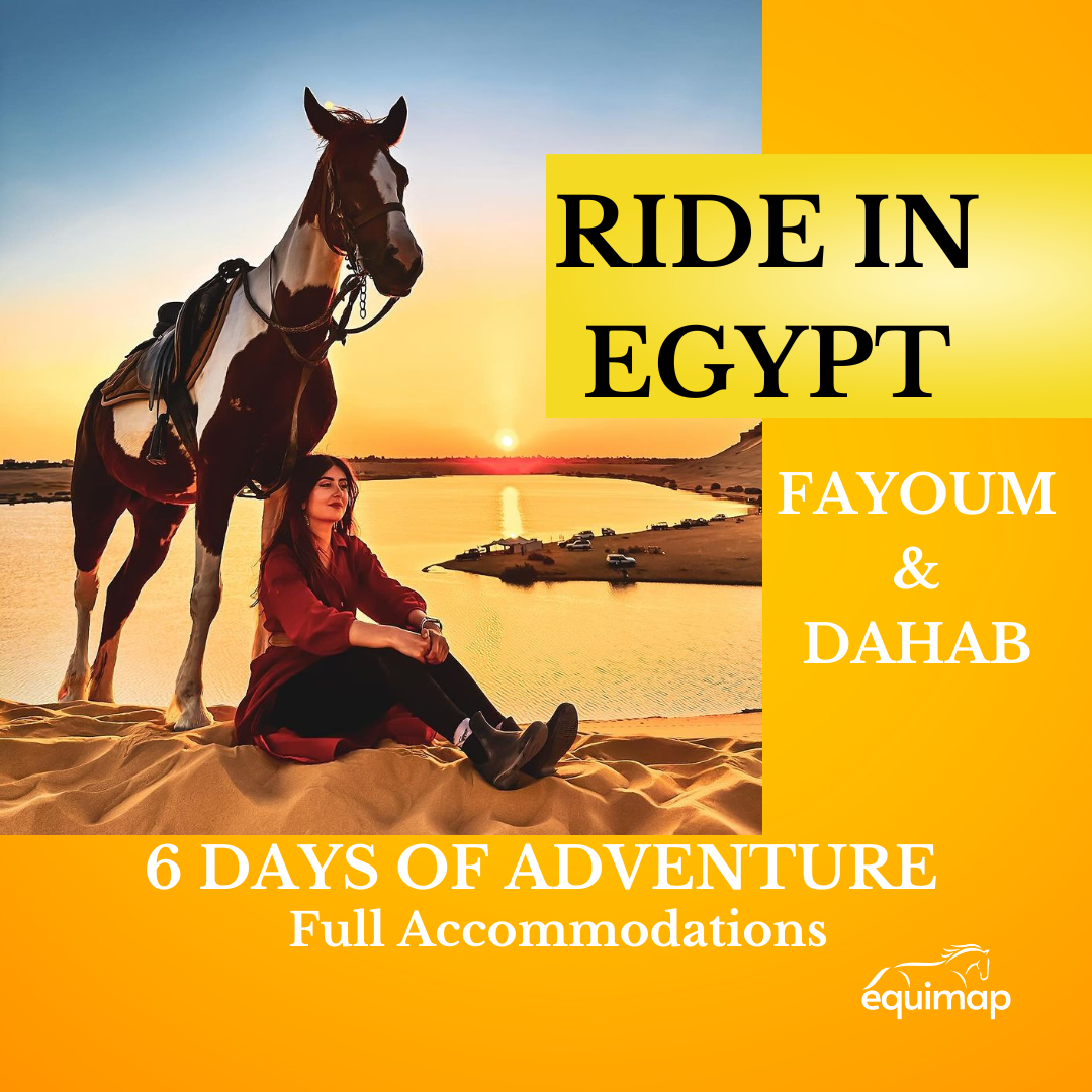 Egypt Horse Riding Tour At Fayoum &amp; Dahab