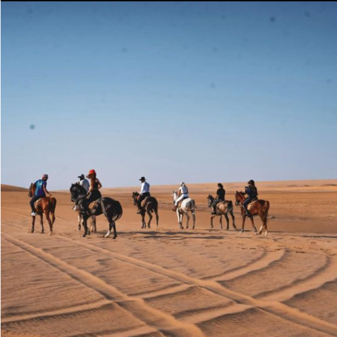 Egypt Horse Riding Tour At Fayoum &amp; Dahab