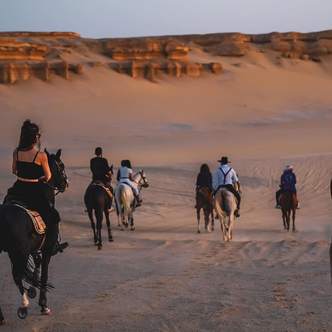 Egypt Horse Riding Tour At Fayoum &amp; Dahab