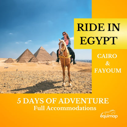 Egypt Horse Riding Tour Cairo &amp; Fayoum 5 Days