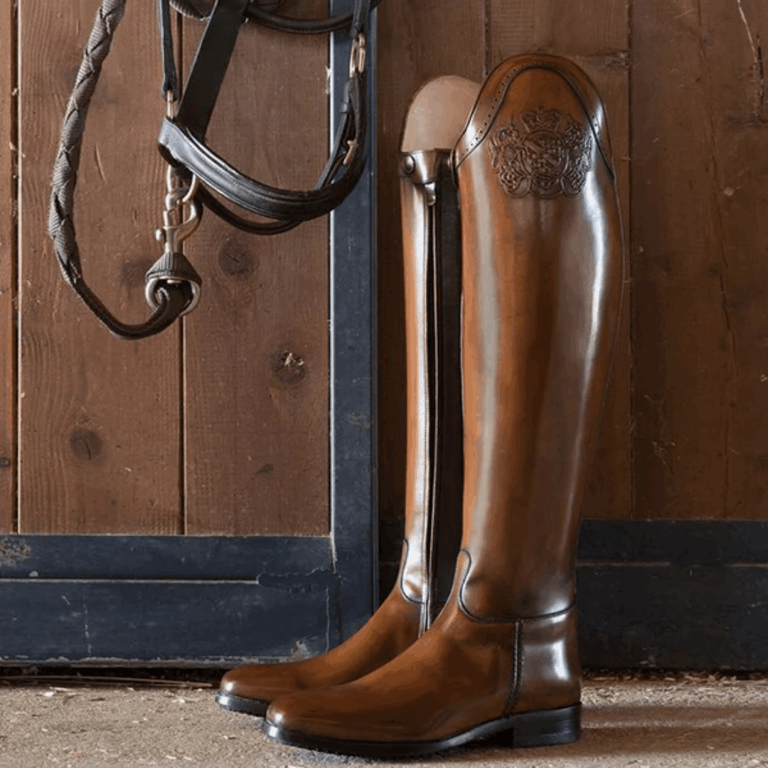 Alberto Fasciani Dressage B2 Picasso Shiny Brown Boot [34 - 39]