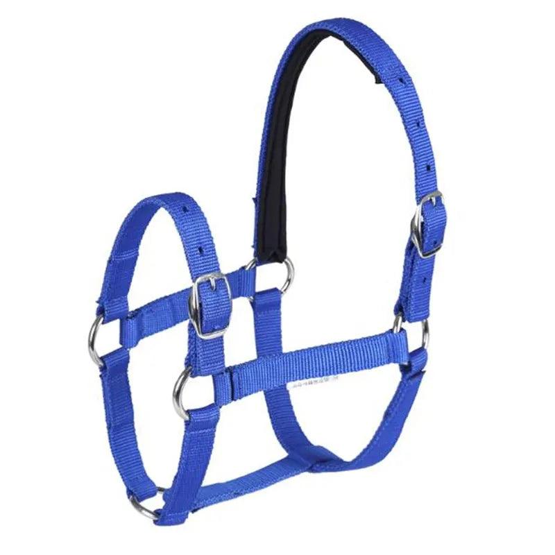 Equimap Cavassion Halter: Anti-Friction Horse Riding Halter for Skin Protection - Equimap