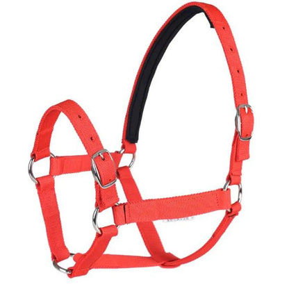 Equimap Cavassion Halter: Anti-Friction Horse Riding Halter for Skin Protection - Equimap