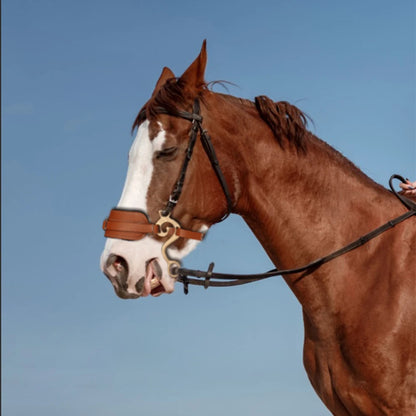 Hackamore Horse Bit less Brown Bridle Leather Padded English Western Adjustable