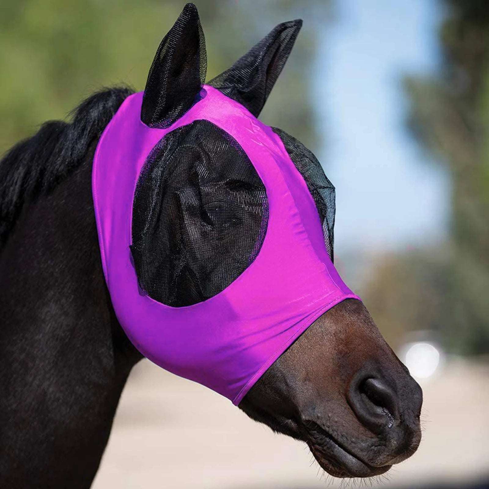 Horse Fly Mask 3D Design Supplies Ergonomics Pet Summer Eye Shield Anti Mosquito Ear Half Face Mesh Fly Protective Cover Parts