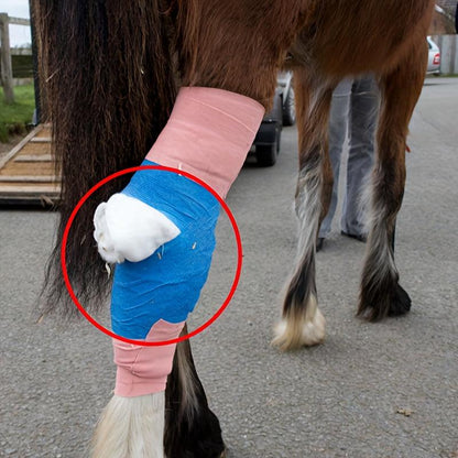 Equimap HoofGuard: 12-Piece Self-Adhesive Hoof Bandage Set for Horses - Equimap