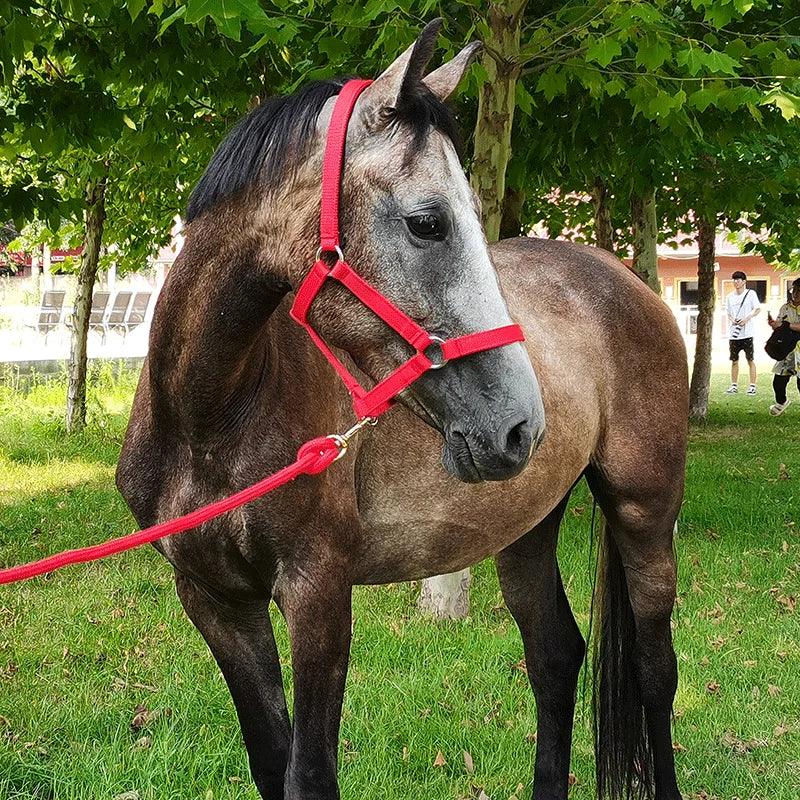 Equimap Cavassion Halter: Anti-Friction Horse Riding Halter for Skin Protection - Equimap