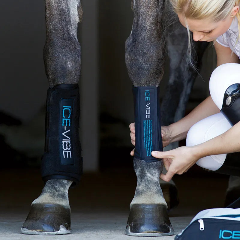 Cavassion IceVibe Horse Boots: Ice Compress, Vibration &amp; Massage - Equimap